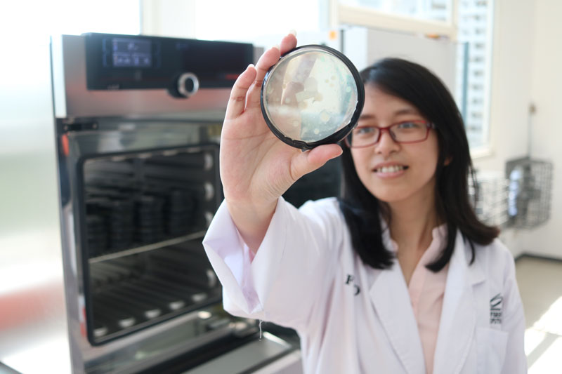 Bioteknologi Pangan: Revolusi di Dunia Pangan untuk Masa Depan yang Lebih Baik