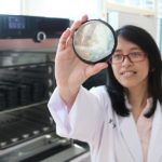 Bioteknologi Pangan: Revolusi di Dunia Pangan untuk Masa Depan yang Lebih Baik