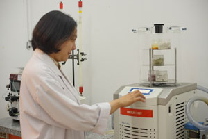 Teknologi Pengepakan Pangan Modern