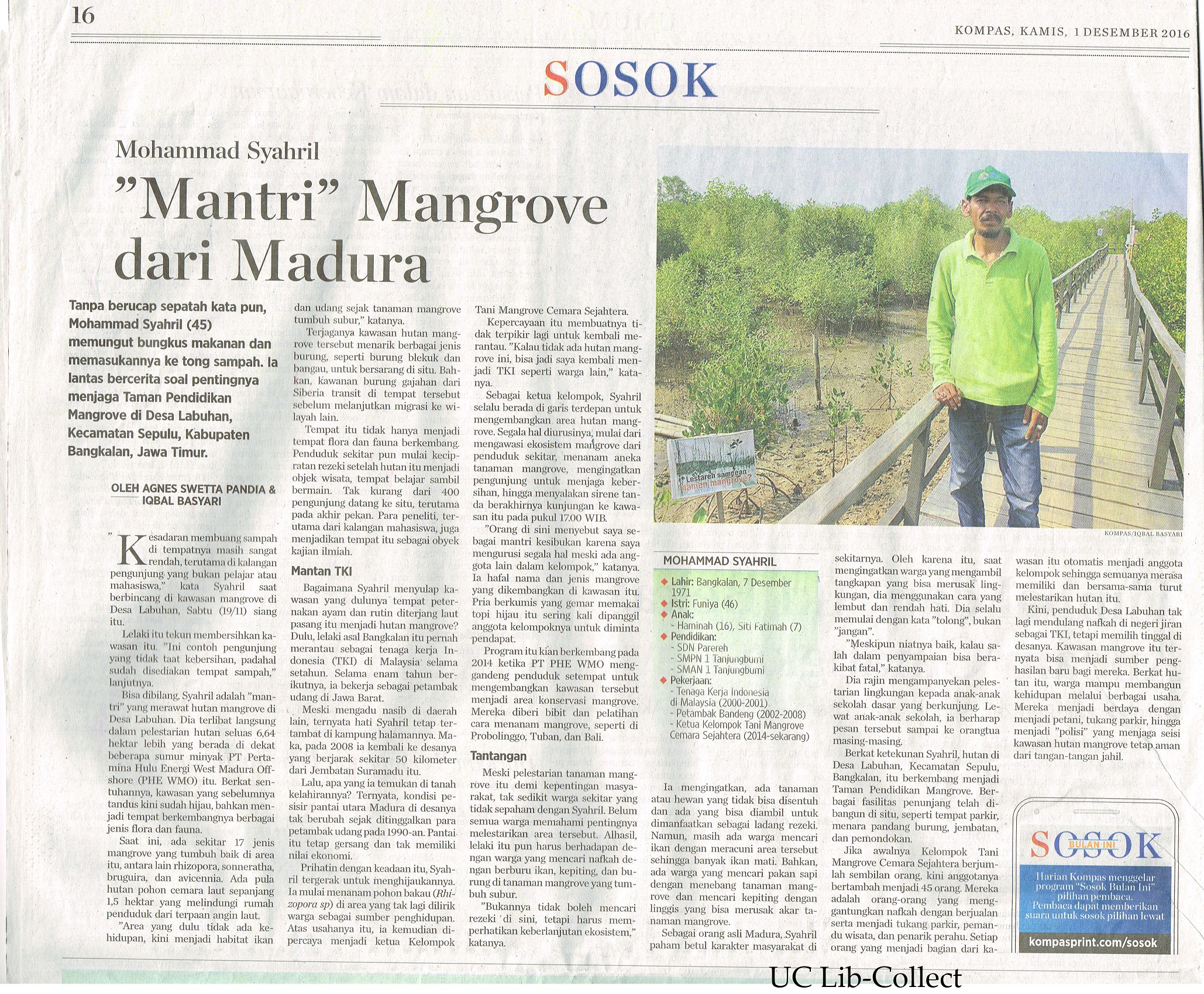 Mantri Mangrove dari Madura. Kompas. 1 Desember 2016.Hal.16