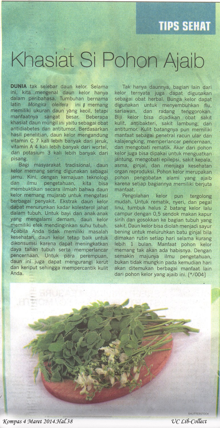 Khasiat Si Pohon Ajaib.Kompas 4 Maret 2014.Hal 38