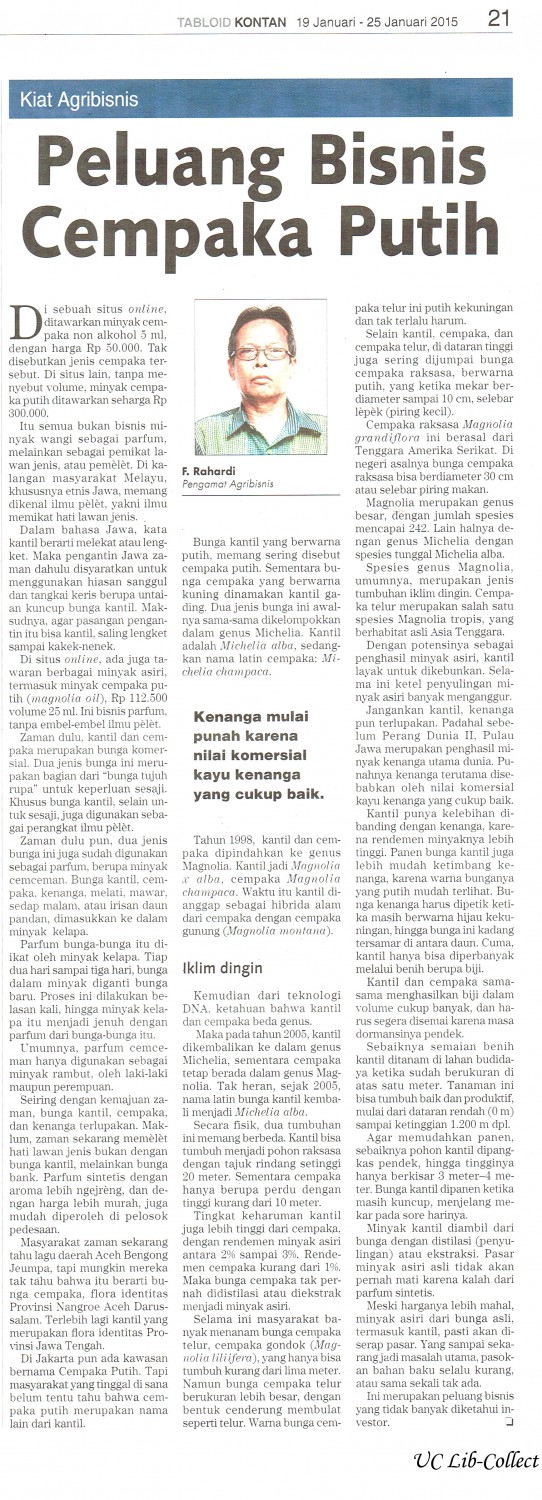 Peluang Bisnis Cempaka Putih. Tabloid Kontan 19 Januari-25 Januari 2015.Hal.21