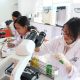 Laboratorium Mikrobiologi Teknologi Pangan